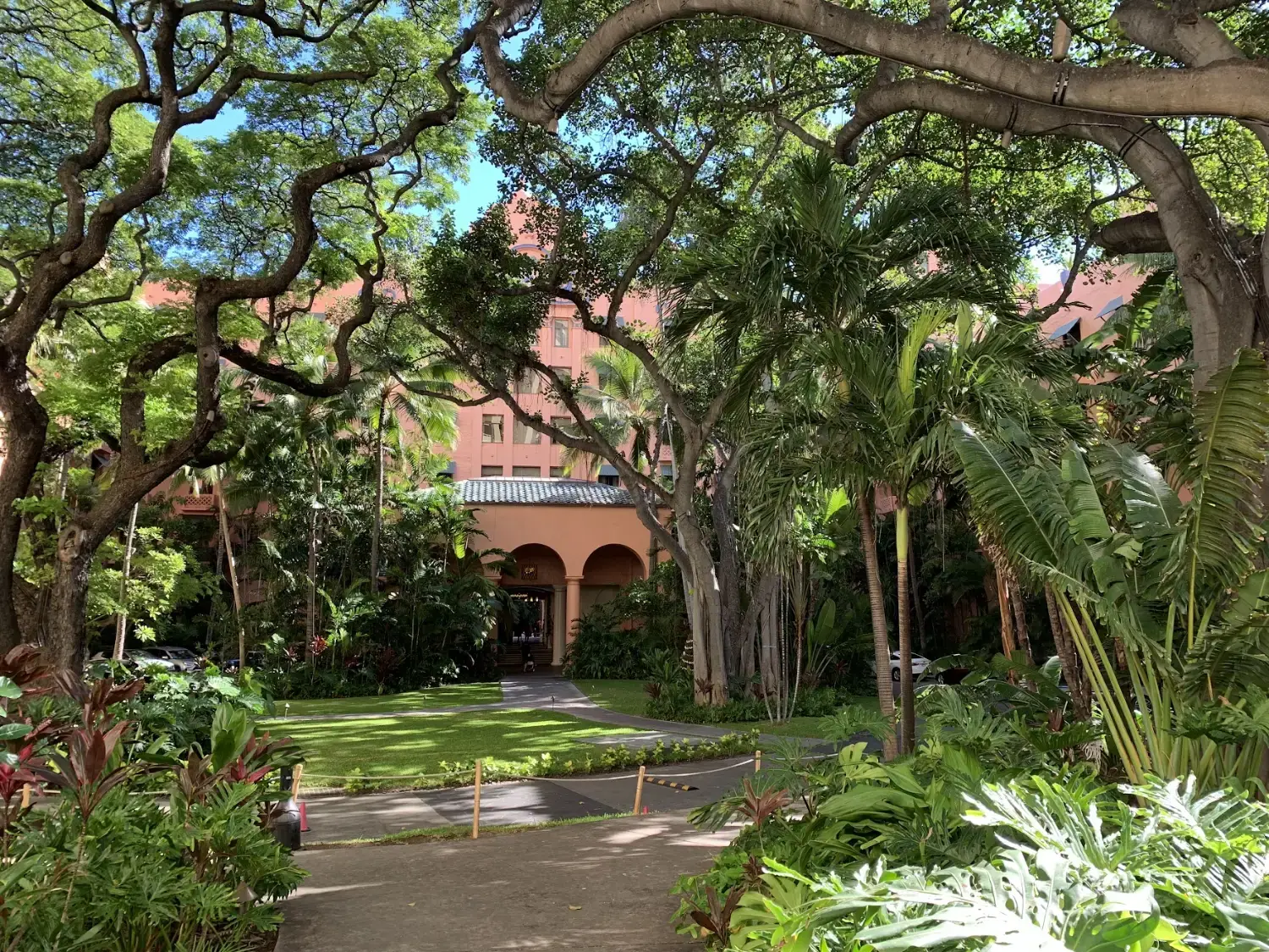 Shaded tropical gardens with large trees leading to the pink Royal Hawaiian hotel
