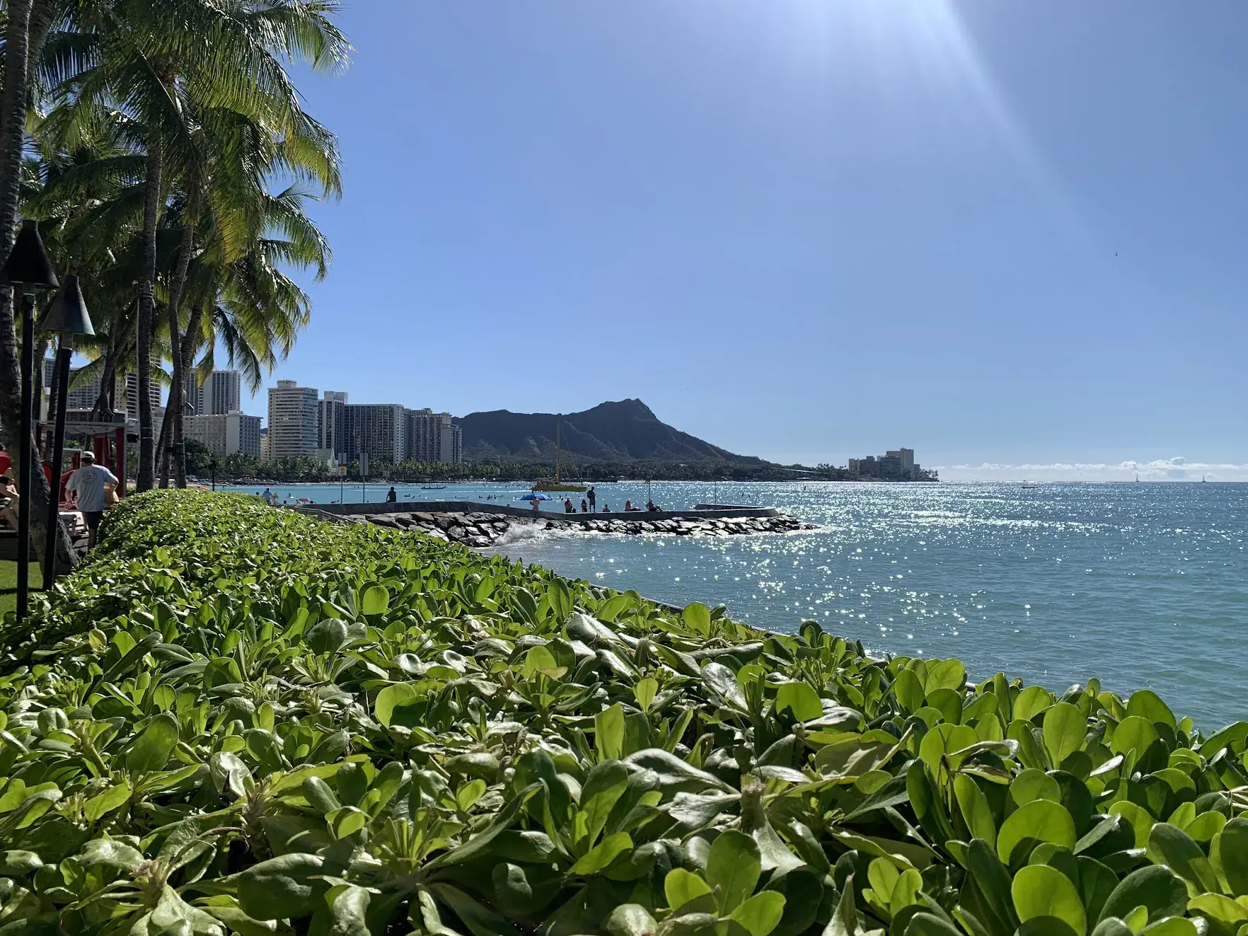 Waikiki shoreline with palm trees, a seawall and Diamond Head in the distance